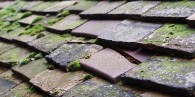 Tanerdy roof repair costs